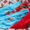 1,5–7 v. | 6 kpl Paw Patrol -boksereita
