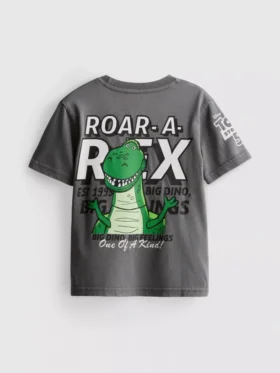 1–9 v. | Disney Pixarin Toy Story Rex -Kauluspaidat