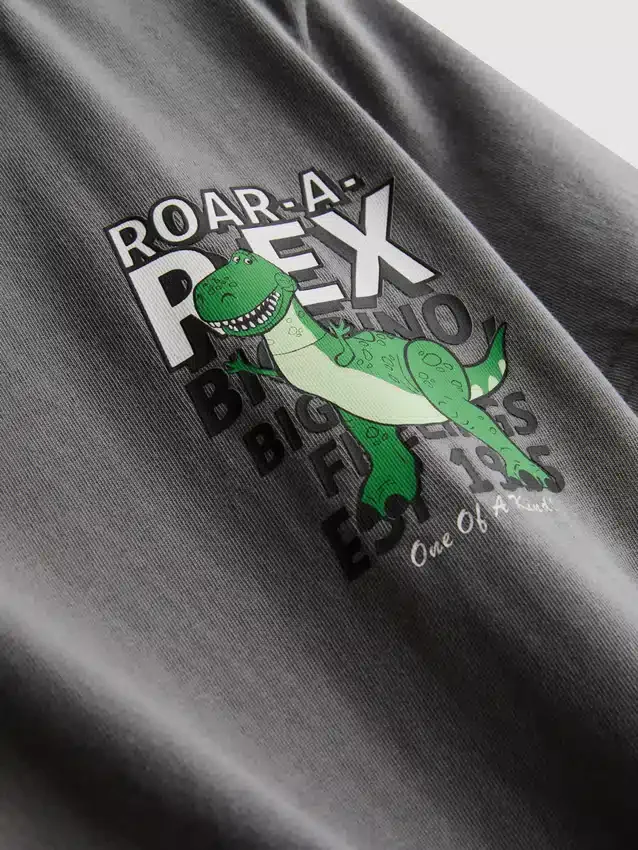 1–9 v. | Disney Pixarin Toy Story Rex -Kauluspaidat