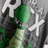 1–9 v. | Disney Pixarin Toy Story Rex -Kauluspaidat