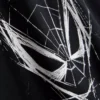 7–15 v. | Marvel Spider-Man -kauluspaita