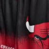 7–15 v. | NBA Chicago Bulls -verkkosetti