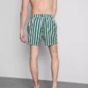 Deck Chair Stripe -shortsit