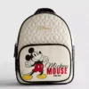Disneyn Mikki Hiiri -tikkireppu