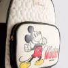 Disneyn Mikki Hiiri -tikkireppu
