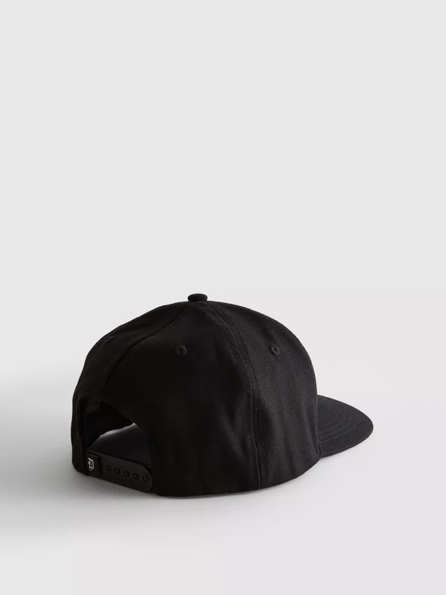 La-baseball-lippis