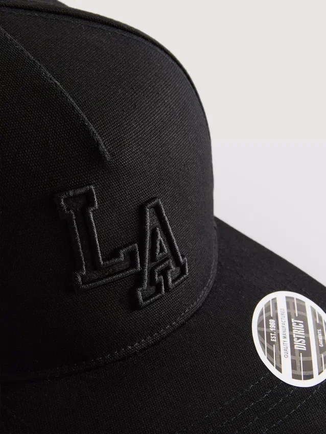 La-baseball-lippis