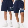 NBA Dallas Mavericks -nauhakortit