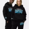 NFL Carolina Panthers -logohuppari