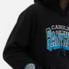 NFL Carolina Panthers -logohuppari