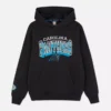NFL Carolina Panthers -logohuppari