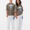 NFL Detroit Lions -logolla varustettu t-paita