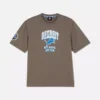 NFL Detroit Lions -logolla varustettu t-paita