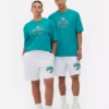 NFL Miami Dolphins -logolla varustettu t-paita
