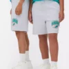 NFL Miami Dolphins -logoshortsit
