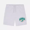 NFL Miami Dolphins -logoshortsit
