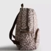 Packaway-reppu