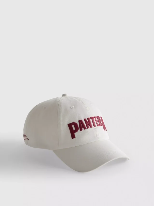 Pantera-baseball-lippis