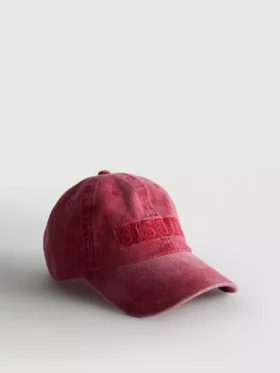 Pesty brodeerattu baseball-lippis
